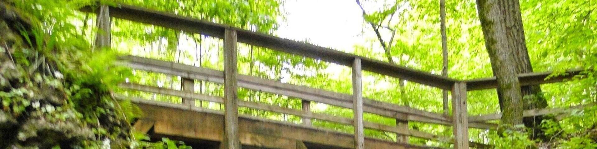 Safe for the whole family. Best time to go is late February early March.