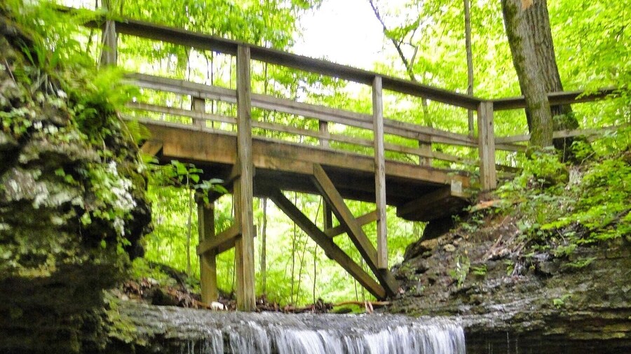 Safe for the whole family. Best time to go is late February early March.