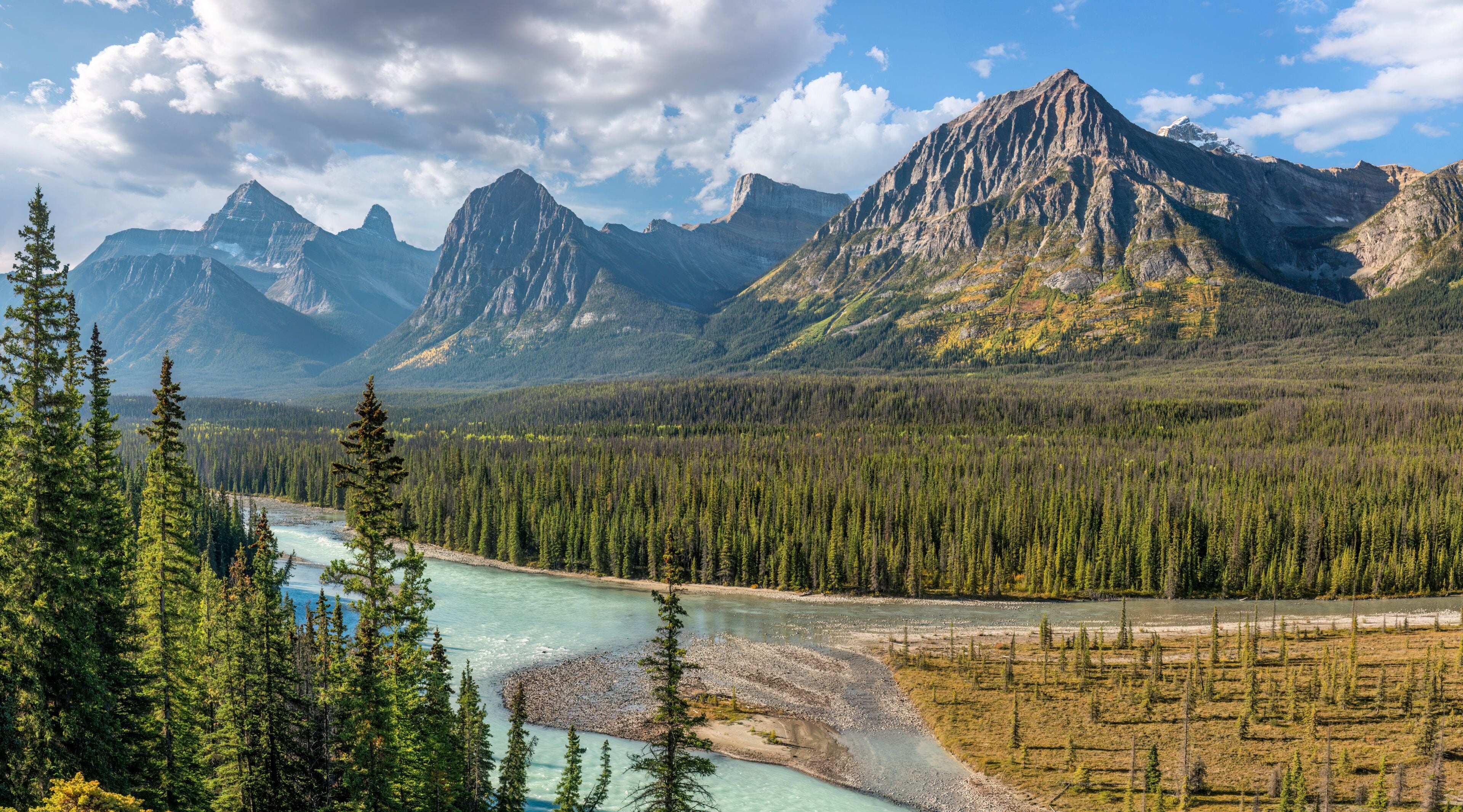 A river winding through a forest with mountains in the background.