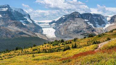 Wilcox Pass Trail with view of the Athabasca Glacier at the Columbia Icefield on the Icefields Parkway - Jasper National Park - Autumn