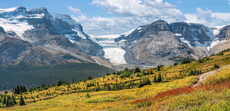 Un glaciar entre dos montañas, un valle boscoso y un sendero.