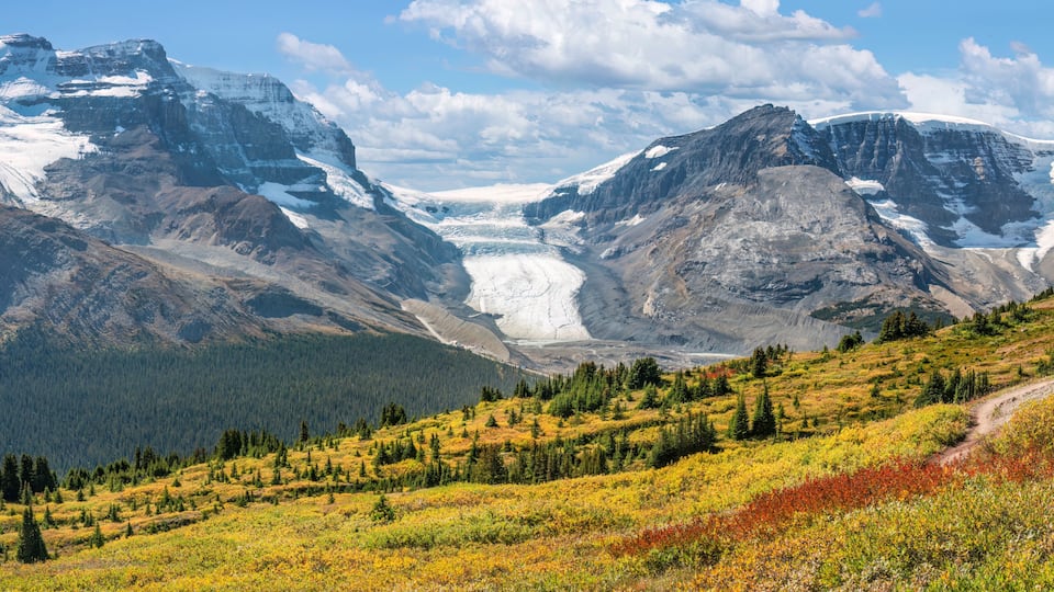 A glacier between two mountains, a forested valley, and a trail.