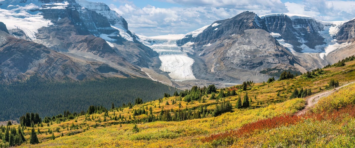 A glacier between two mountains, a forested valley, and a trail.