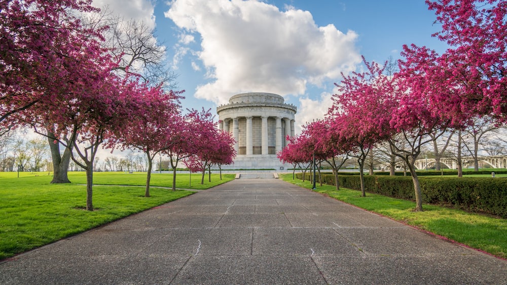 A pathway leading to a classical building with columns, surrounded by trees with pink blossoms.
