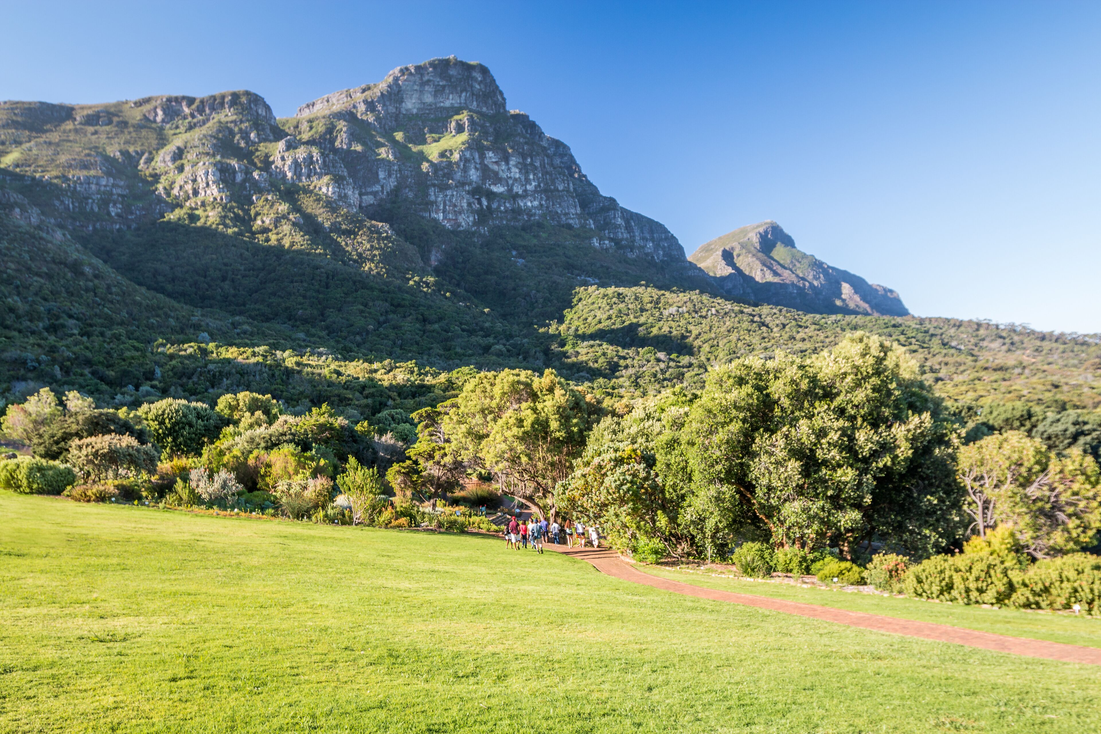 Kirstenbosch Botanical Garden in Cape Town South Africa