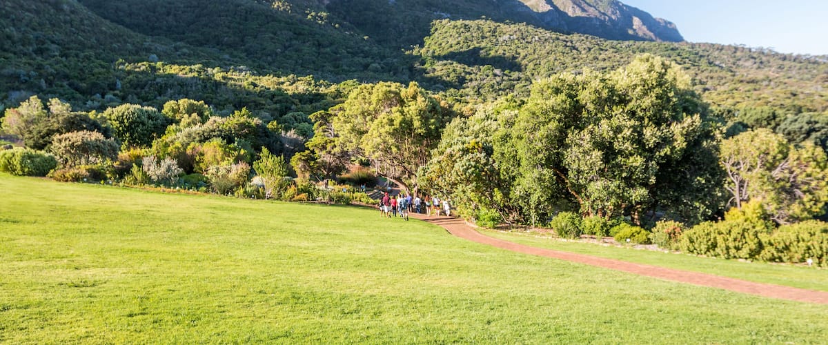 Kirstenbosch Botanical Garden in Cape Town South Africa
