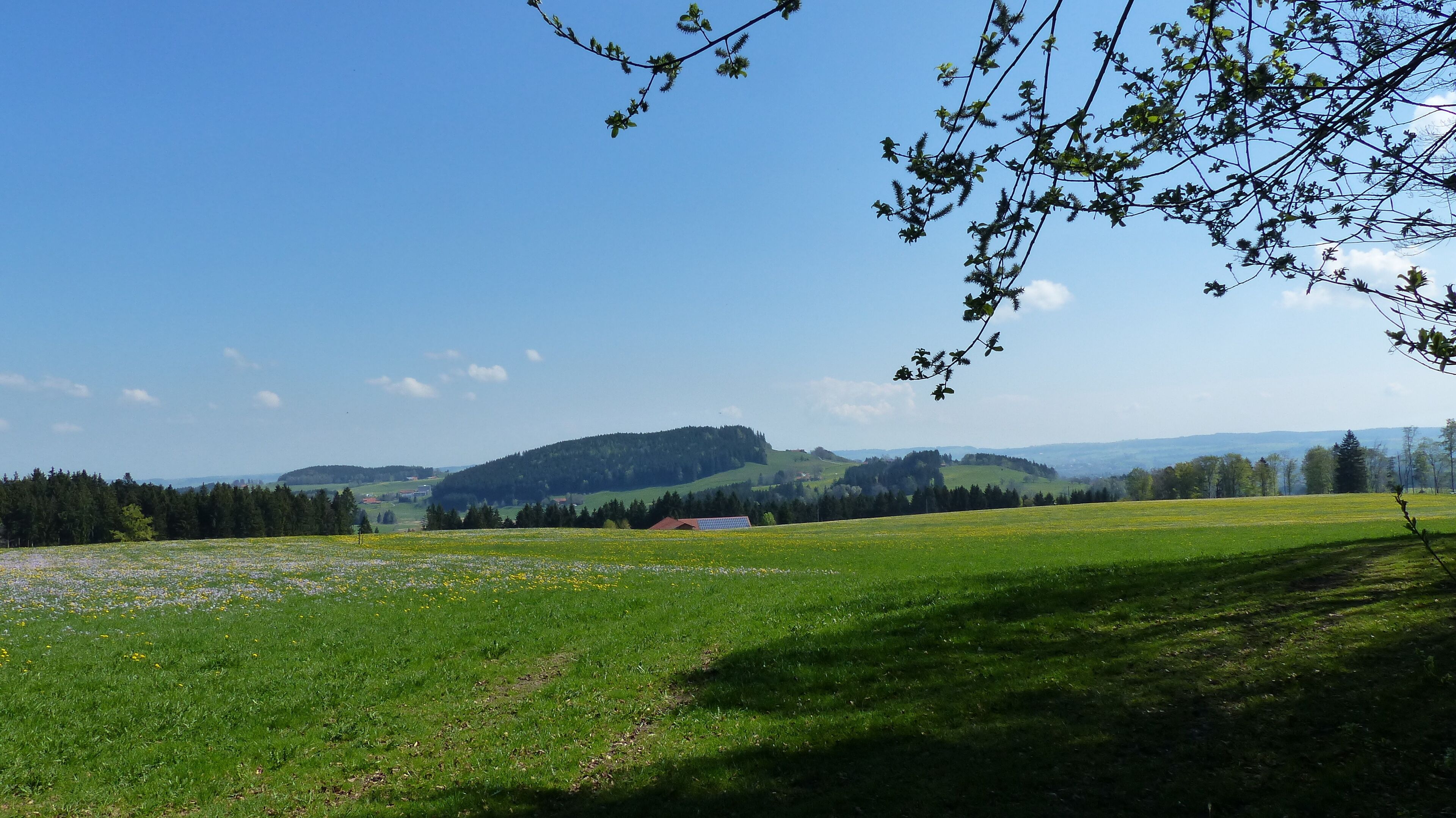 A green field with a red building, trees, and hills in the distance.