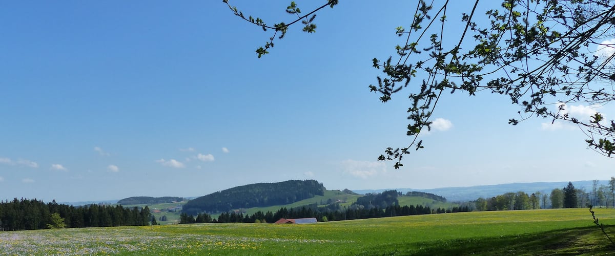 A green field with a red building, trees, and hills in the distance.