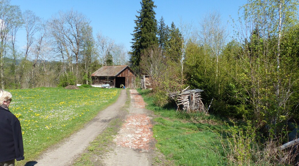 Auf dem Weg zum NSG Hölzlers Tobel, Buchenberg, Bayern