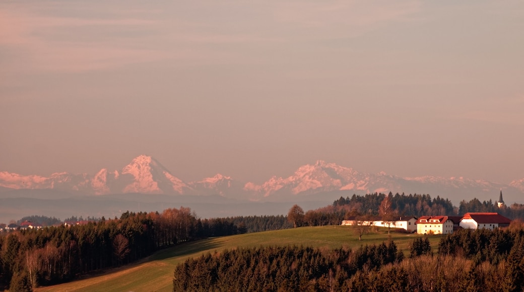 Waldkirchen am Walde Alpine panorama