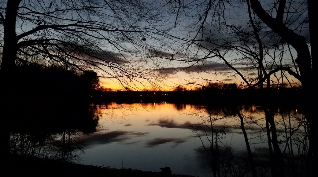 Out for a walk, got dark on us.