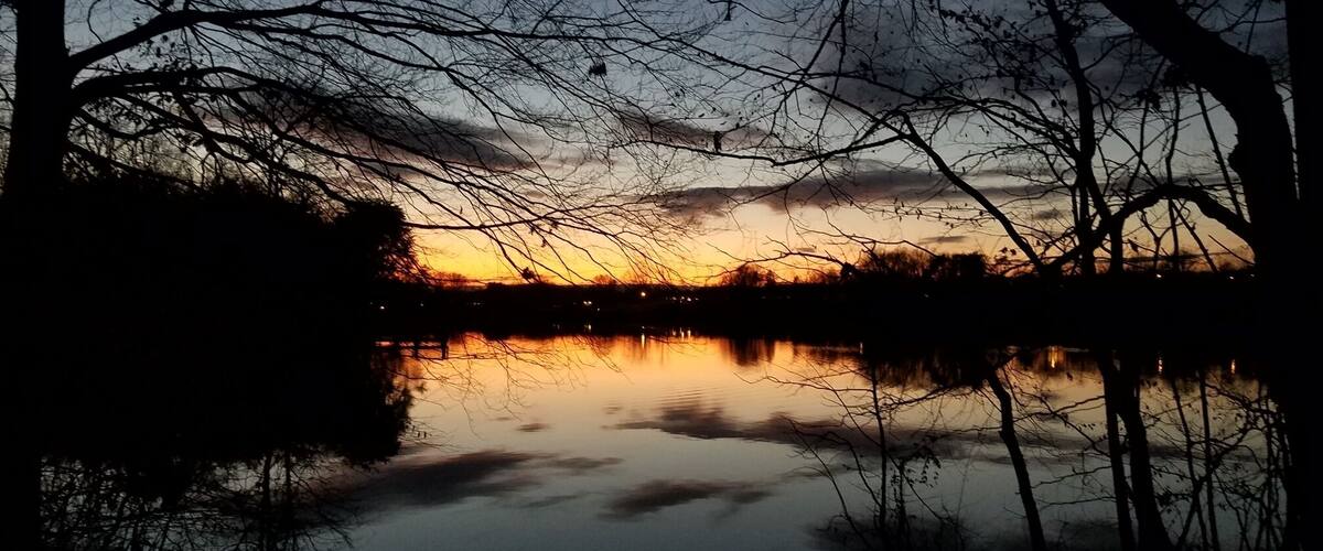 Out for a walk, got dark on us.
