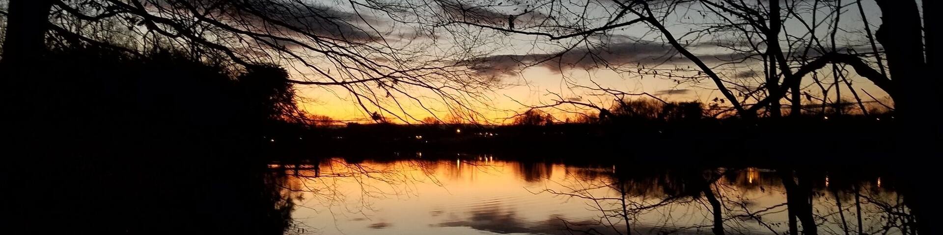 A sunset over a calm lake with silhouetted trees and a clear sky.