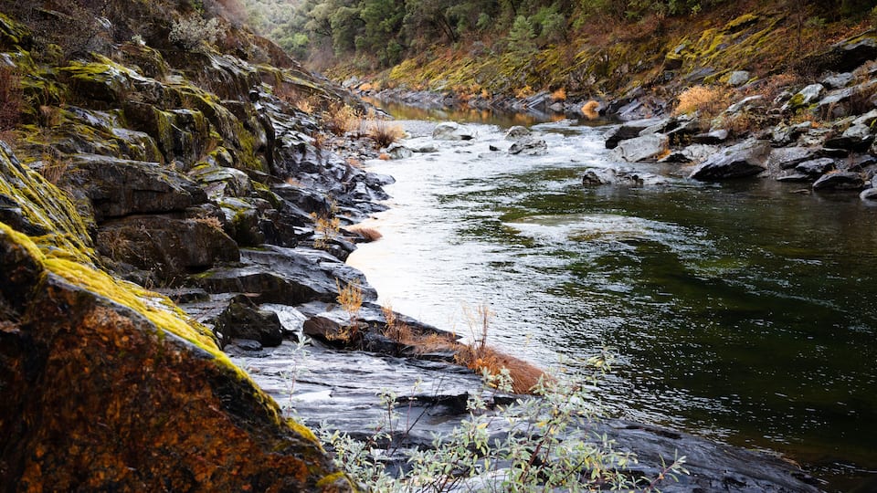 A river flowing through a rocky gorge with moss-covered rocks and dense forest in the background.
