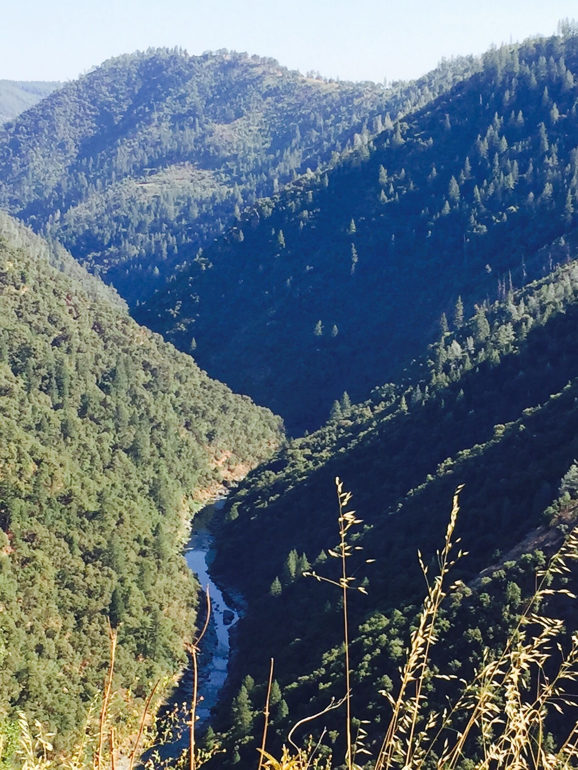 This is part of the mountain cliffs edge leading out to Sugar pine Reservoir. Trails hidden throughout 