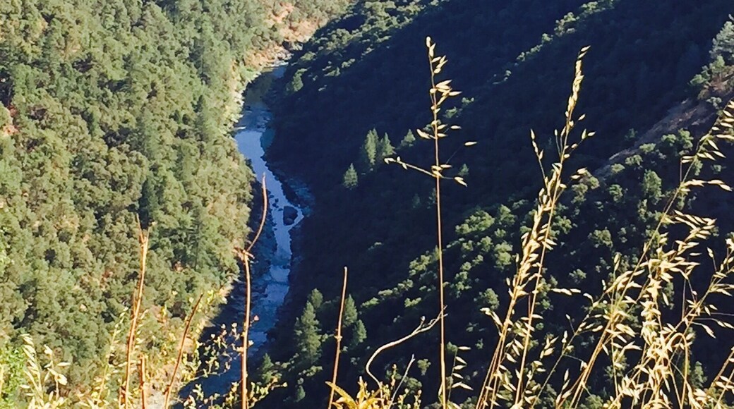 This is part of the mountain cliffs edge leading out to Sugar pine Reservoir. Trails hidden throughout