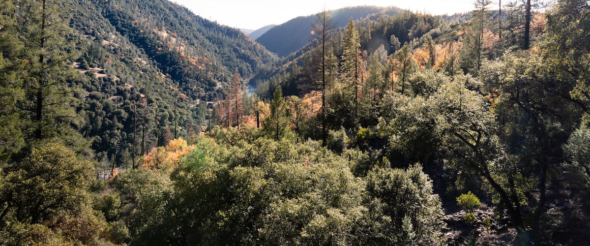 A mountainous landscape with dense forests and a valley.