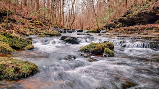 Tullahoma