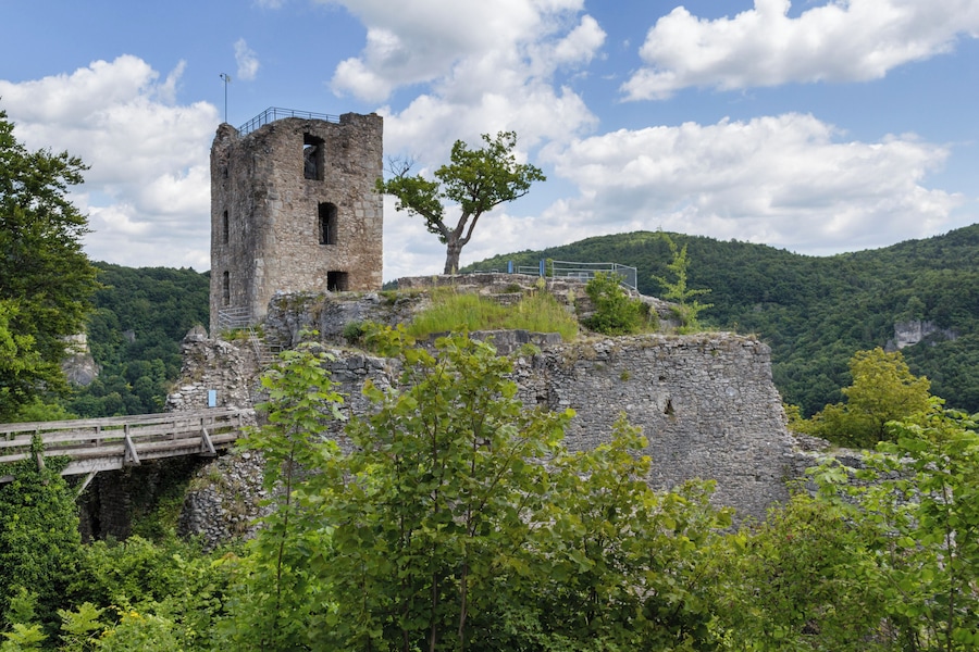 Une tour de pierre surmontée d’un arbre, entourée d’une végétation luxuriante et de collines.