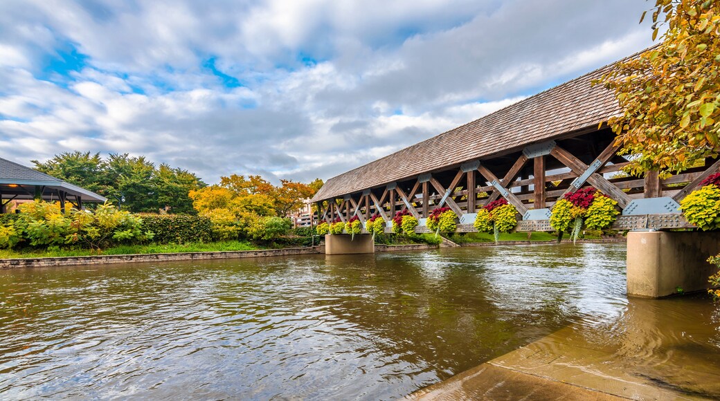 Naperville Town view in Illinois State