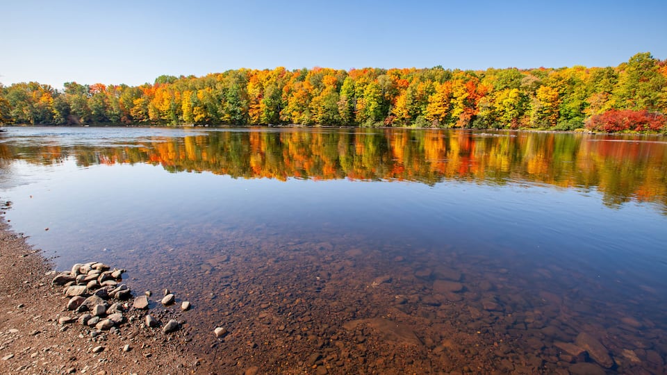 A calm lake with clear reflections of autumn trees, a rocky shoreline, and a clear blue sky.