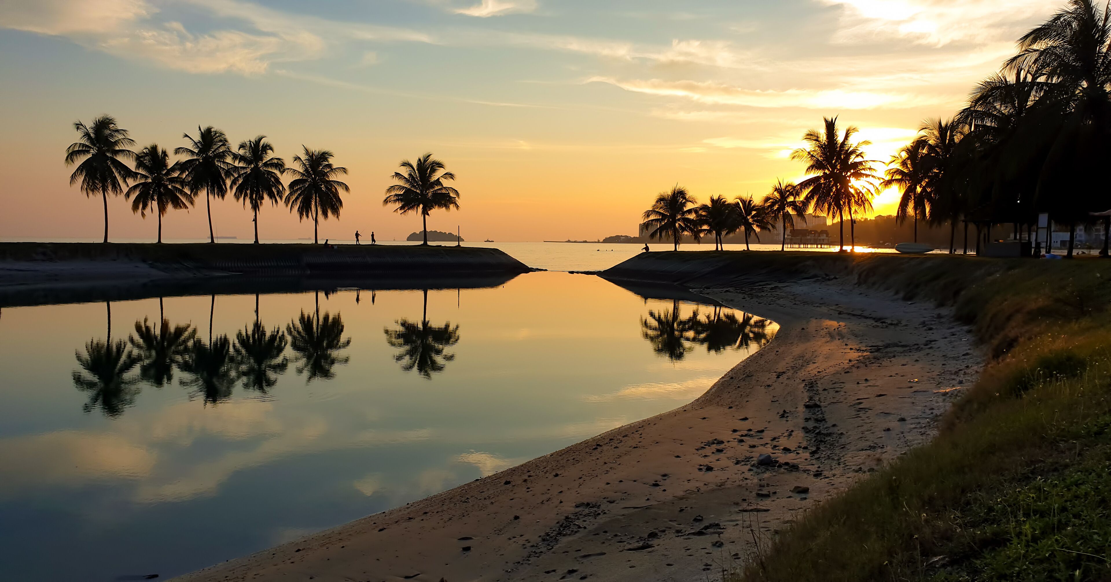 A calm beach with palm trees and a clear sky at sunset.