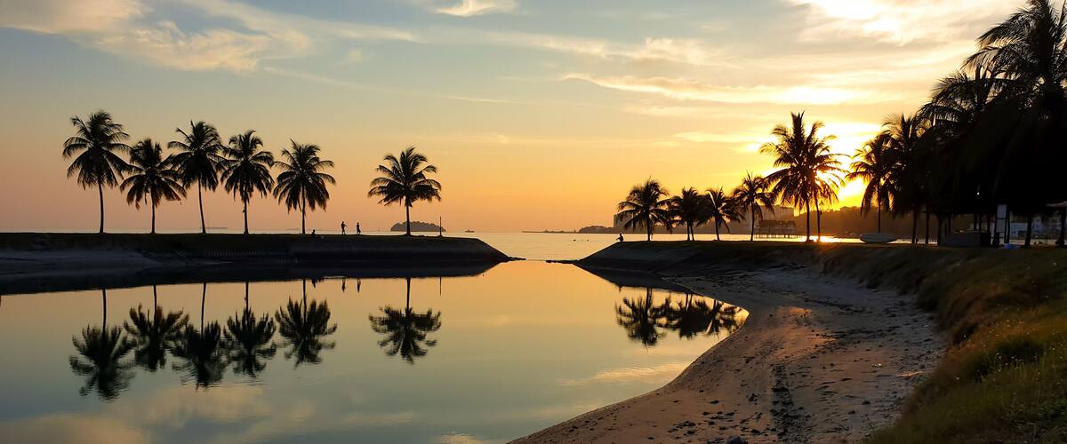 A calm beach with palm trees and a clear sky at sunset.