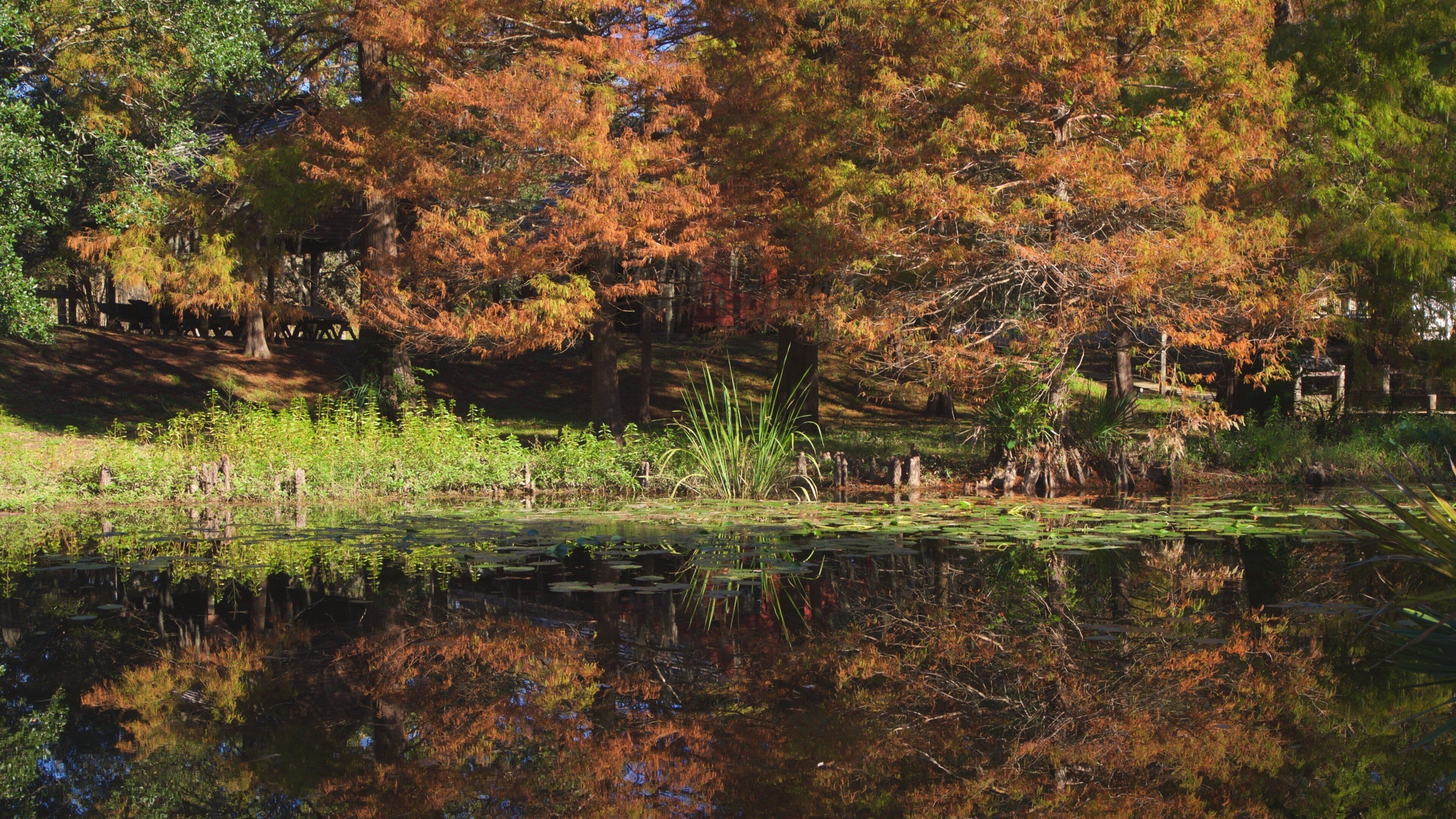 Lafayette som visar en damm