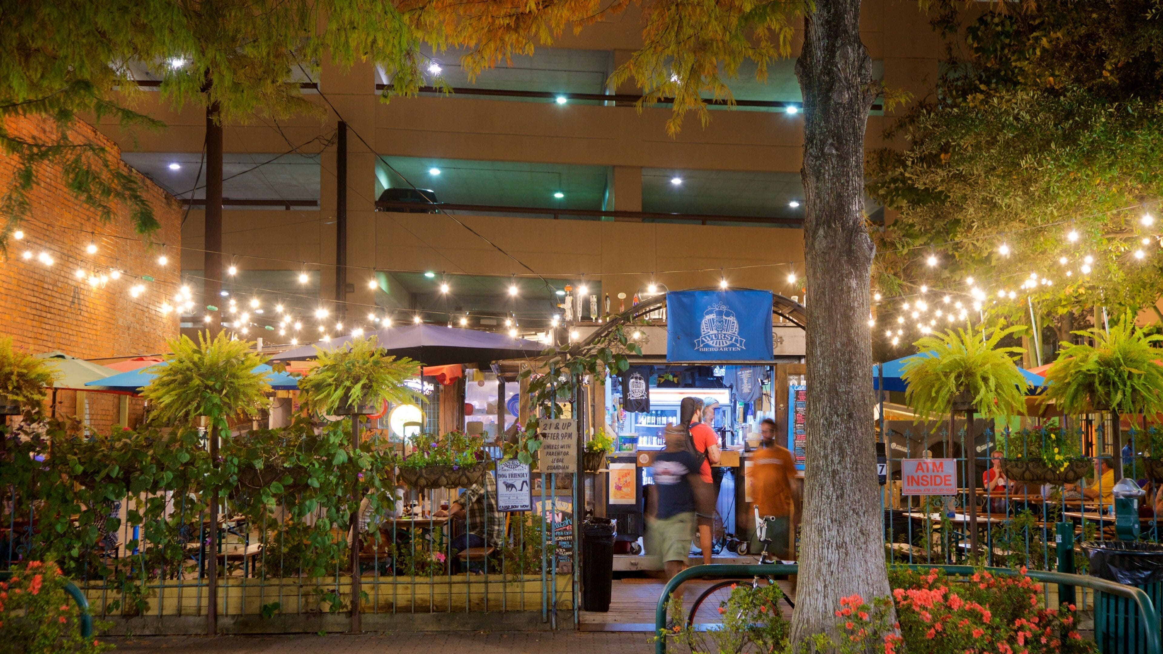 Lafayette showing a park and night scenes
