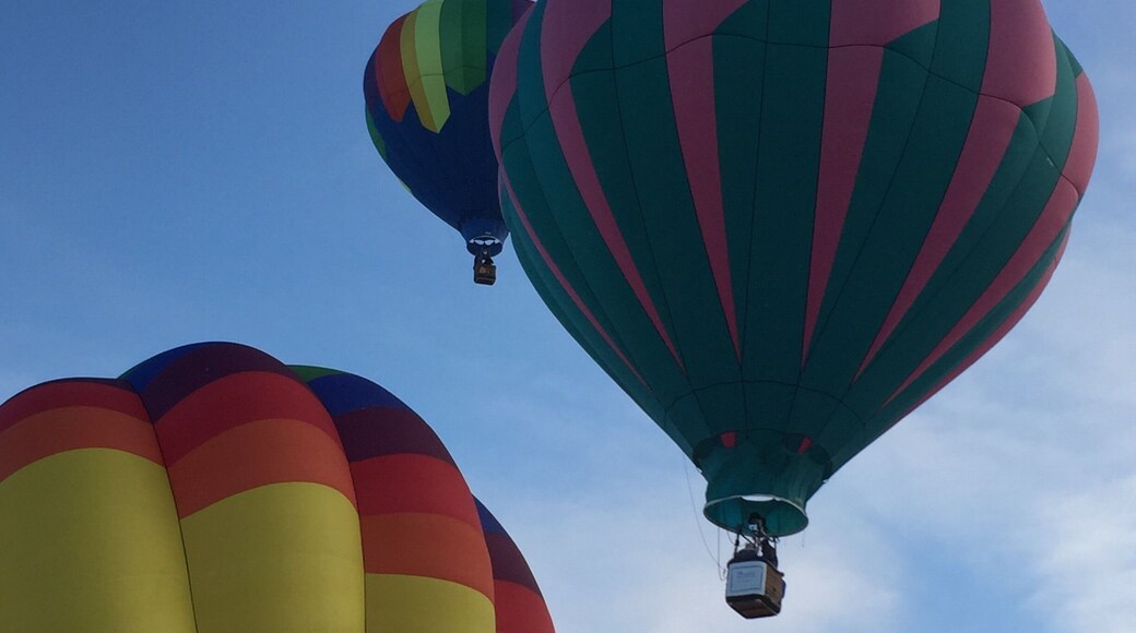 2020 Hot Air Affair