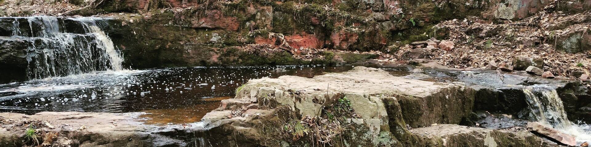 A hidden gem in The Blue Hills we always visit a few times a year.