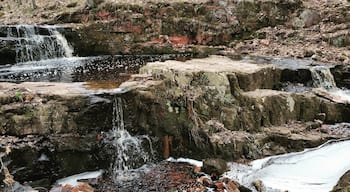 A hidden gem in The Blue Hills we always visit a few times a year.