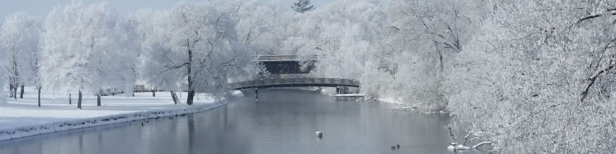 This is my favorite bridge! I caught it just right with the frost one morning . #bridges #winter #frost #likealocal