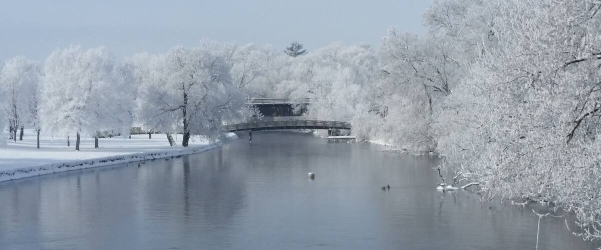 This is my favorite bridge! I caught it just right with the frost one morning . #bridges #winter #frost #likealocal