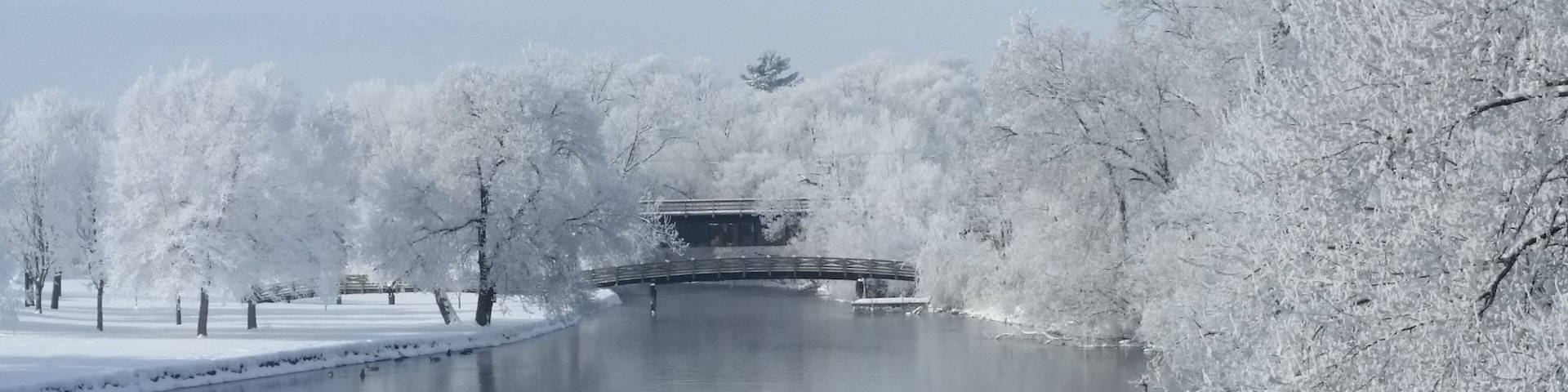 This is my favorite bridge! I caught it just right with the frost one morning . #bridges #winter #frost #likealocal