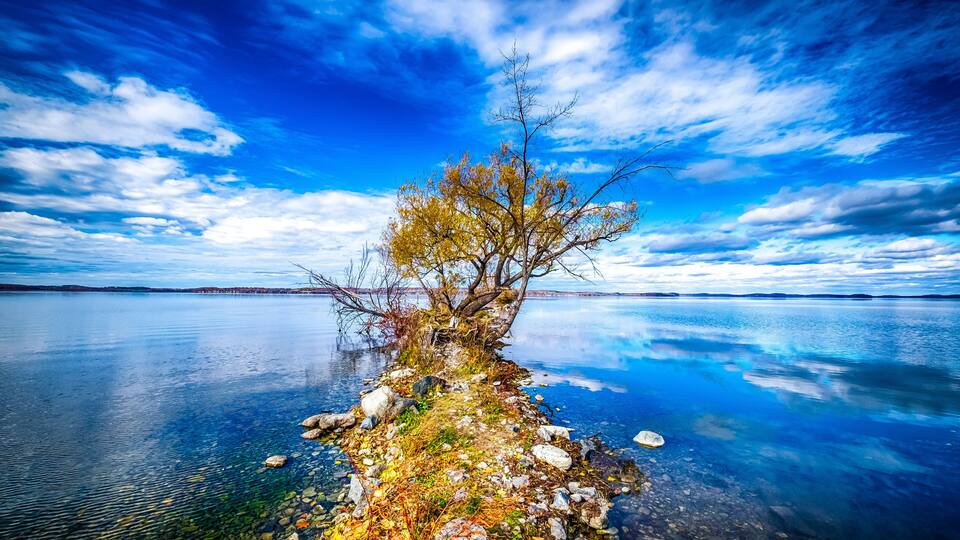 Rice Lake