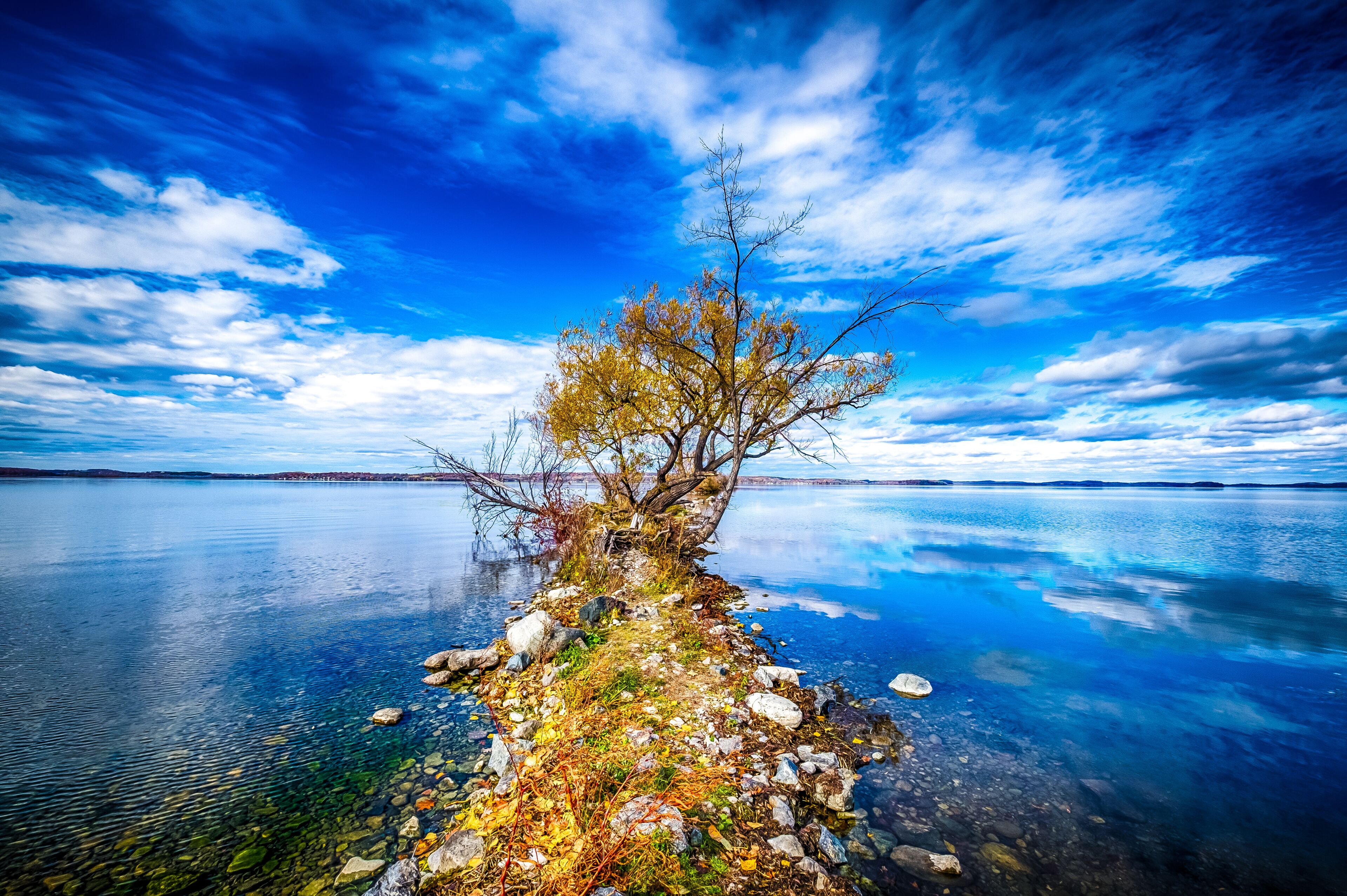 A clear lake with a rocky shoreline and a solitary tree.