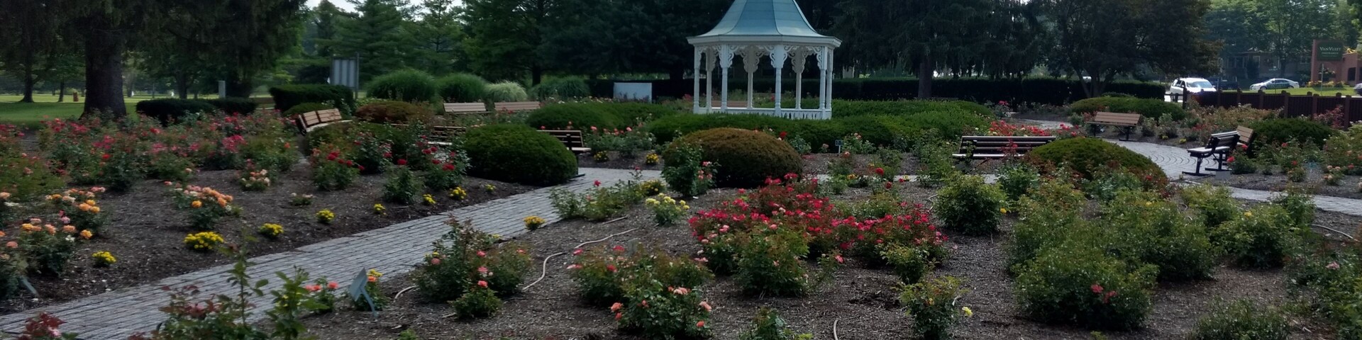 This is a really pretty rose garden on the east side of  Richmond, beside the golf course and Glen Miller Park.