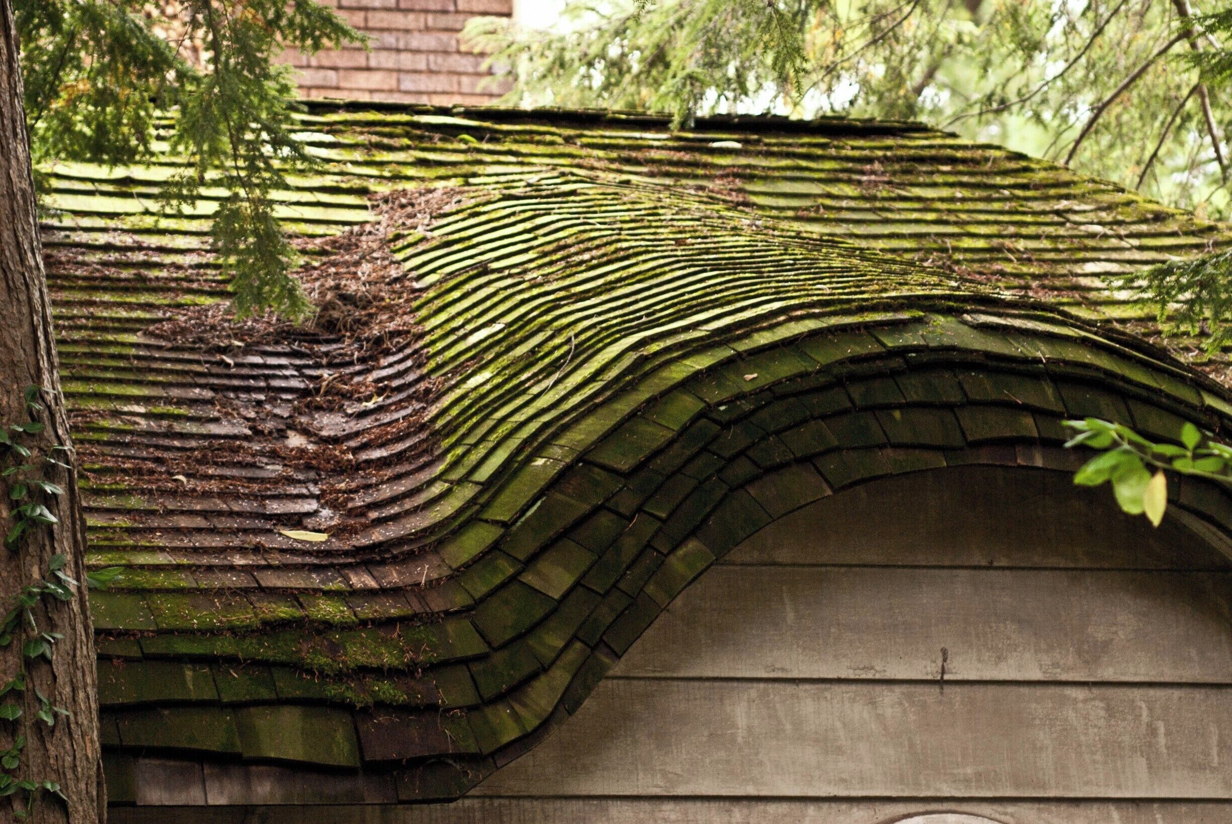 This is the garage for a really neat house. Just looks like a place a Hobbit would live in. 