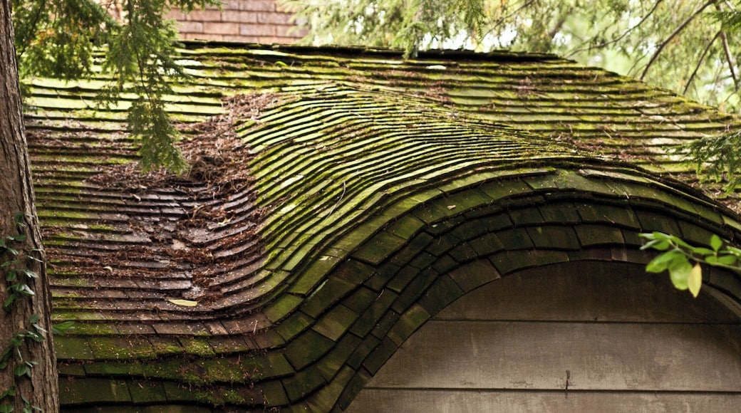 This is the garage for a really neat house. Just looks like a place a Hobbit would live in.
