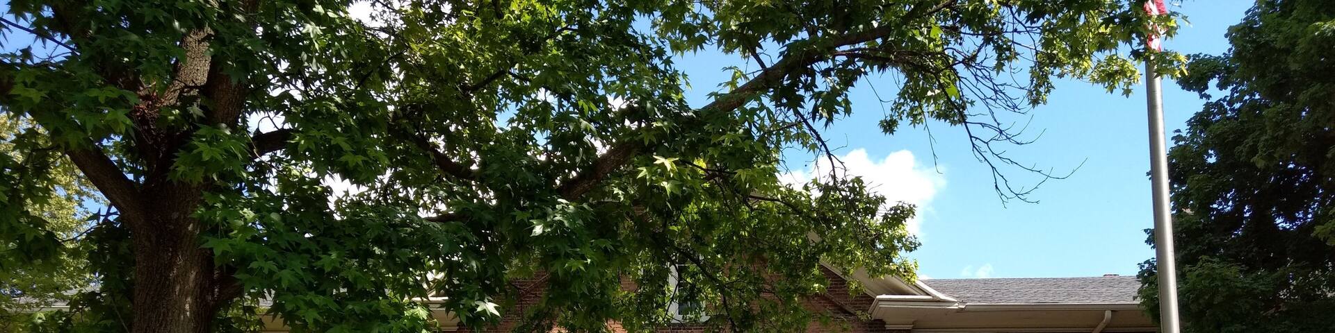 One picture can't possibly do justice to this fun museum. It has such a variety of exhibits! I love the antique cars in the basement.