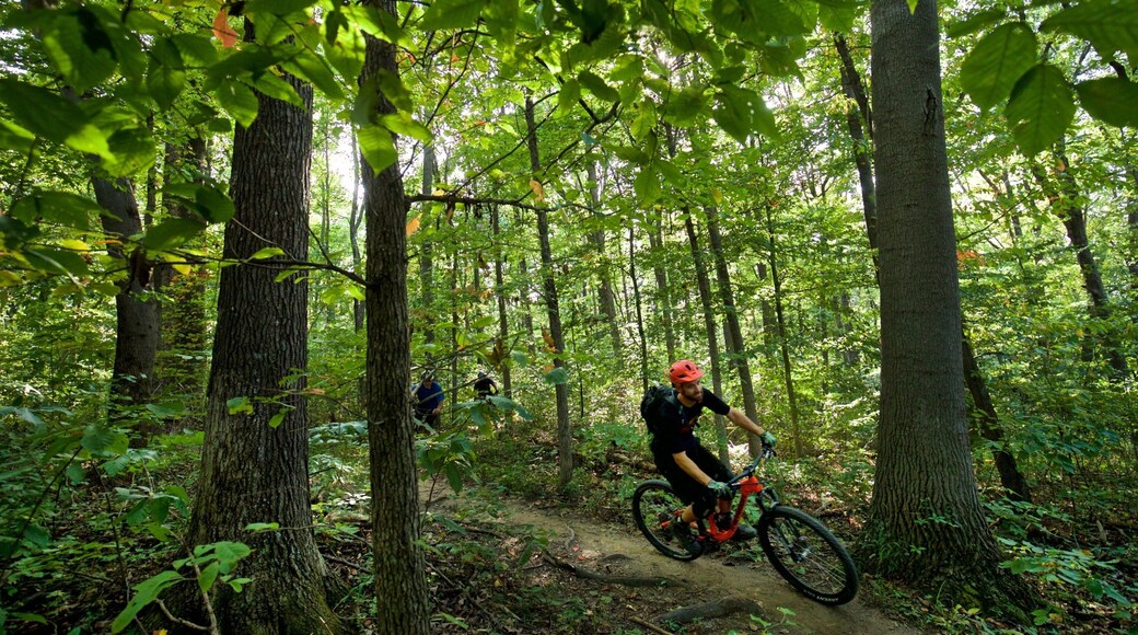 Columbus showing mountain biking and forests as well as a small group of people