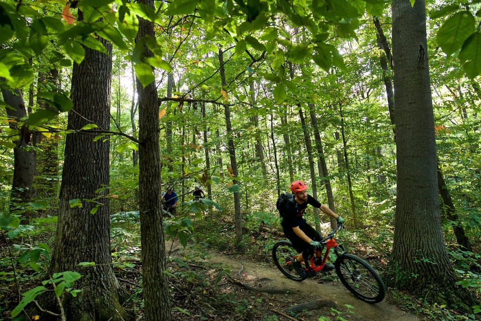 A forest trail with a cyclist wearing a helmet and red gear.