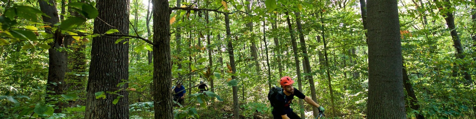 Columbus showing mountain biking and forests as well as a small group of people