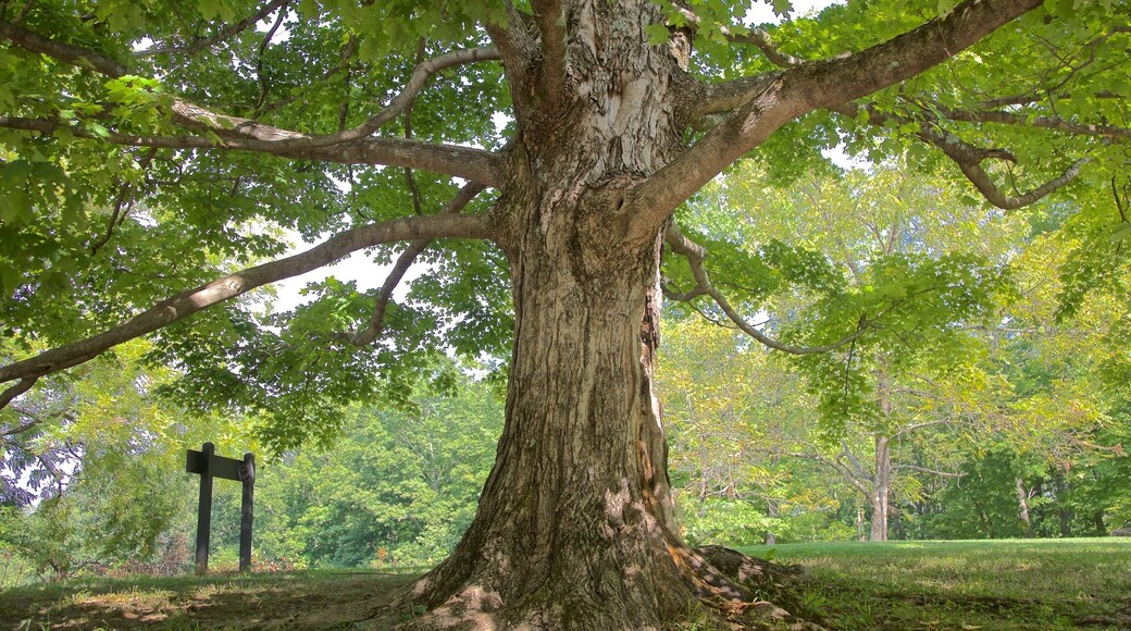 Brown County State Park