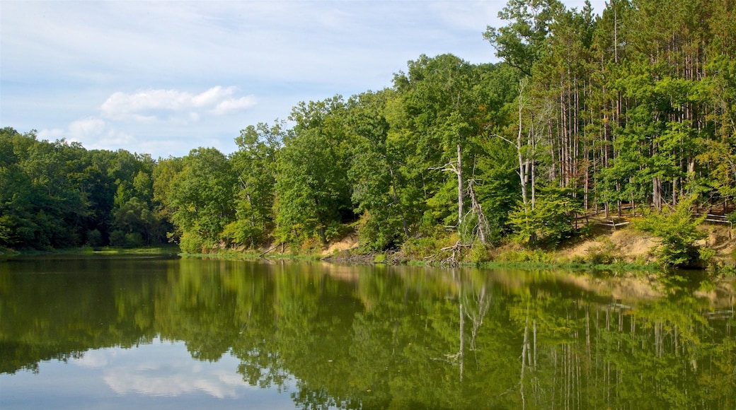 Brown County State Park mostrando un lago o laguna