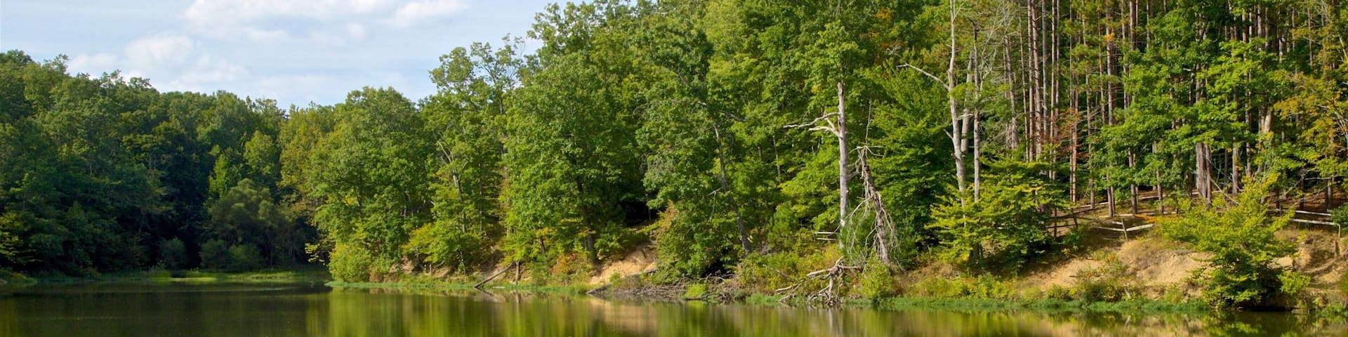 Brown County State Park which includes a lake or waterhole