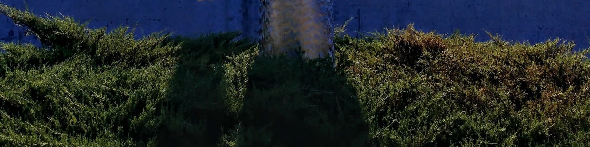 "Transformations" - a sculpture by artist Howard Meehan composed of polished stainless steel and dichroic glass.