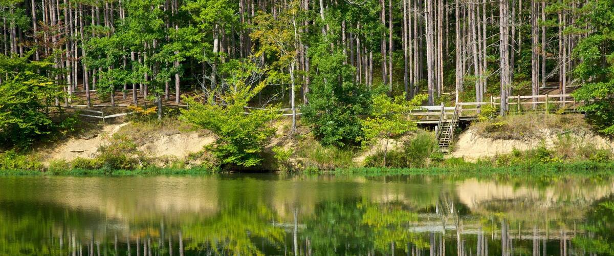 Columbus featuring a lake or waterhole
