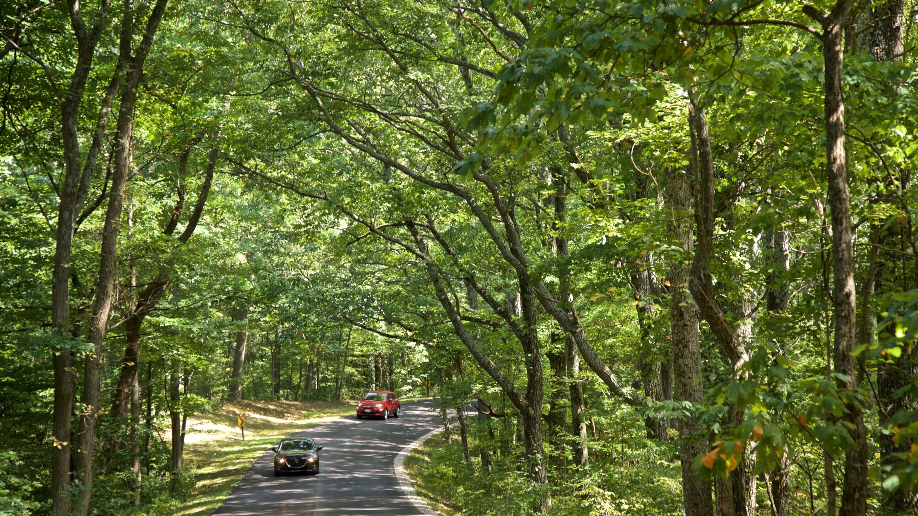 Brown County State Park que incluye situaciones tranquilas